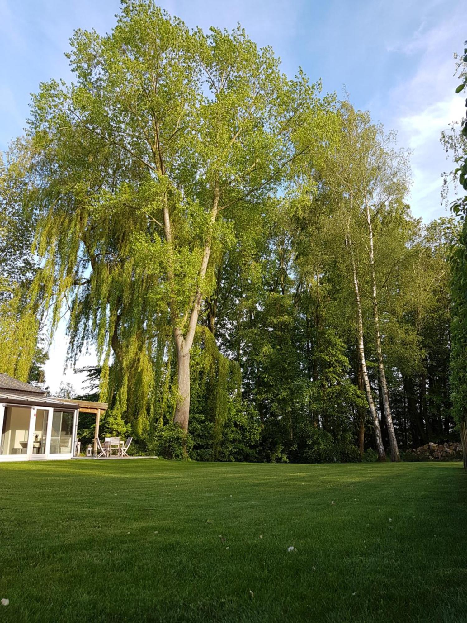 B&B Maison Kerkhove Exteriör bild